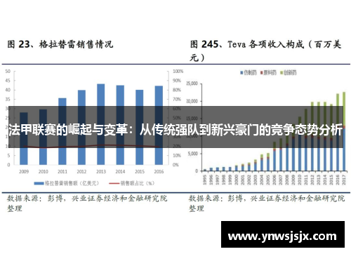 法甲联赛的崛起与变革：从传统强队到新兴豪门的竞争态势分析